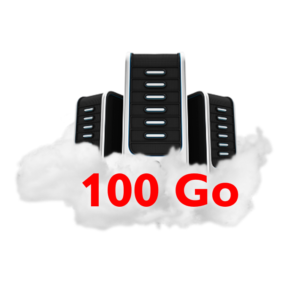 STOCKAGE CLOUD (1) 100 Go